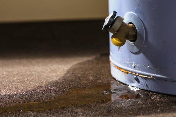 Best Ceiling water damage repair  in Mcdonough, GA