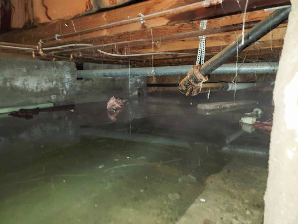 Best Emergency water extraction  in Mcdonough, GA