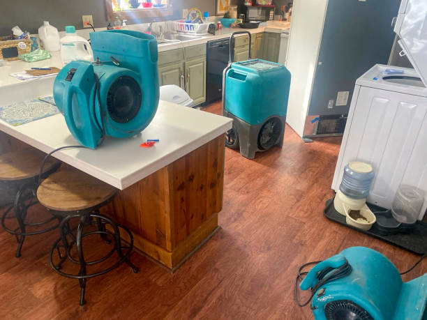 Best 24/7 water damage repair  in Mcdonough, GA