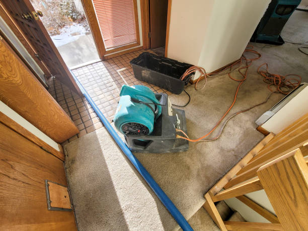  Mcdonough, GA Water damage restoration Pros