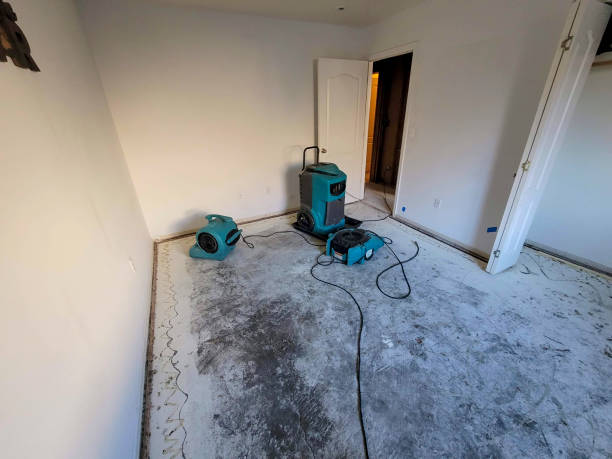 Best Water damage cleanup near me  in Mcdonough, GA