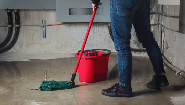 Best Flooded house restoration  in Mcdonough, GA