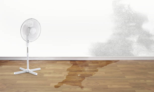 Best Flooded house restoration  in Mcdonough, GA