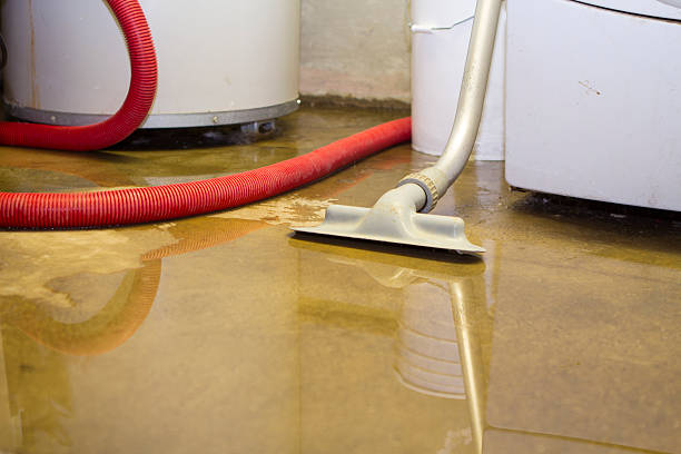 Best Professional water damage repair  in Mcdonough, GA