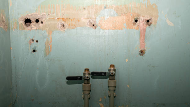 Best Residential water damage restoration  in Mcdonough, GA