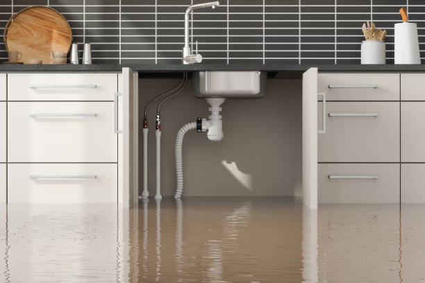 Best Water damage mitigation services  in Mcdonough, GA